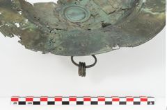 Foto von Bronzebreitrandfußschale (NHMW-PRAE-025740)
